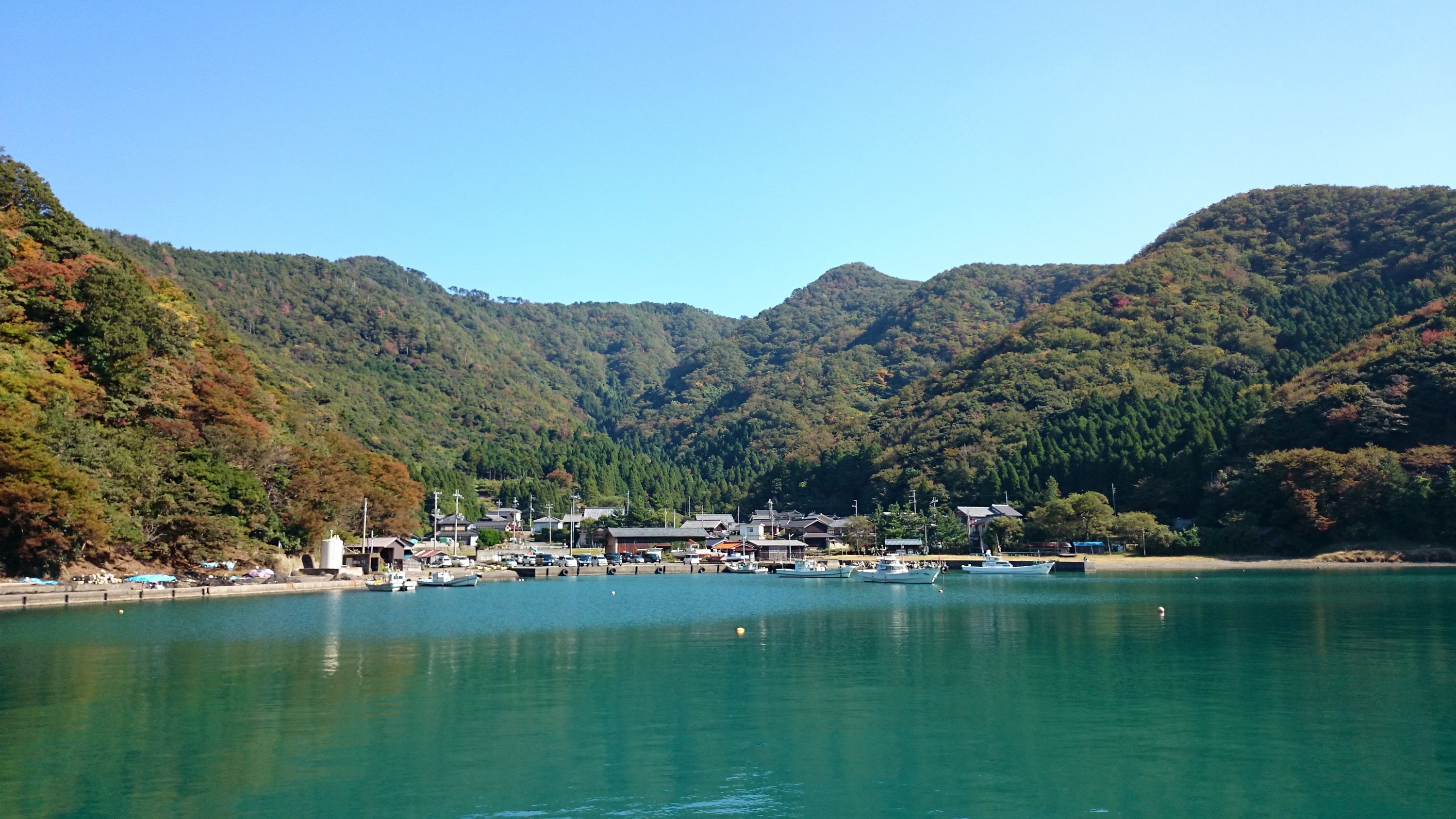 釣姫漁港で釣り 福井県小浜 旅しようよ