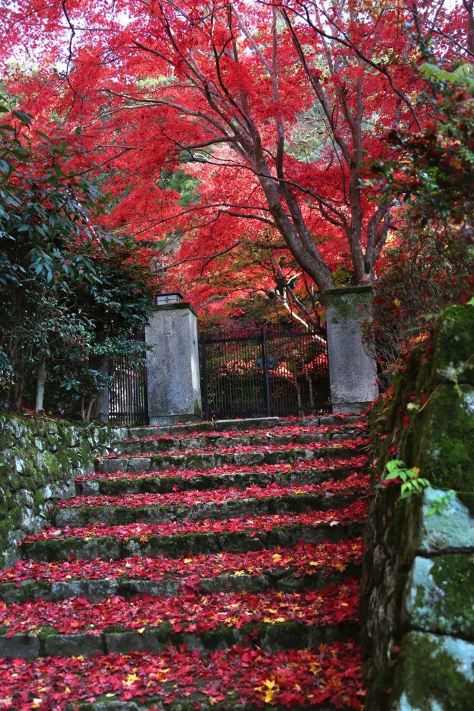 晩秋の大文字山と紅葉